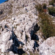 2 giugno – Cresta sud-est Monte Taburno (1394 m) da San Pietro (Bonea)￼