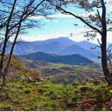 16 ottobre – Santuario di Montevergine da Ospedaletto d’Alpinolo