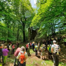 16 luglio – Dal Campo di Cepino alla caserma Pozzillo