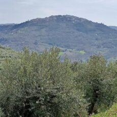 3 settembre – Percorso dell’altopiano, dell’acqua e del vento di Molinara