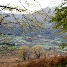 1 novembre – Vallone Ceraso e monte Gaudello da C.da Rosato