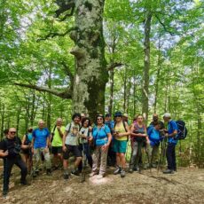 l’0asi WWF di Guardiaregia ed i Tre Frati