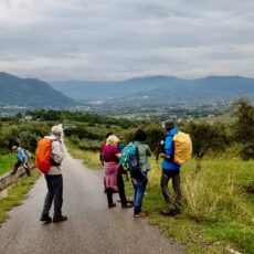 Da Massa di Faicchio a San Lorenzello