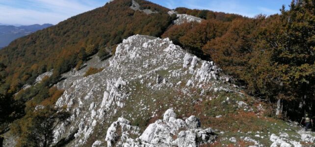 17 novembre – Monte Pastonico da Bocca della Selva