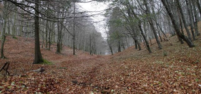 24 novembre – Tuoro Verro e Cresta del Taburno