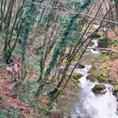 Riserva Naturale del torrente Callora da Roccamandolfi