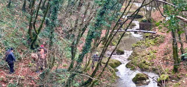 Riserva Naturale del torrente Callora da Roccamandolfi