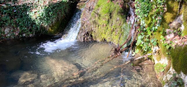 1 febbraio – Da Sassinoro al Santuario di Santa Lucia