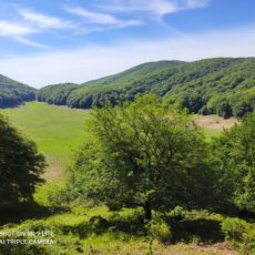 16 febbraio – Monte Cardito dal Campo d Cepino