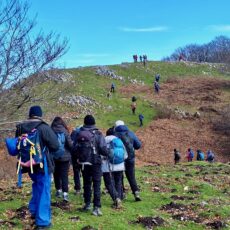 Monte Cardito dal Campo di Cepino