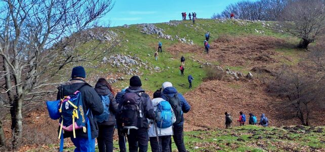 Monte Cardito dal Campo di Cepino